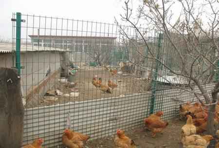 養殖護欄網.jpg 養殖護欄網.jpg